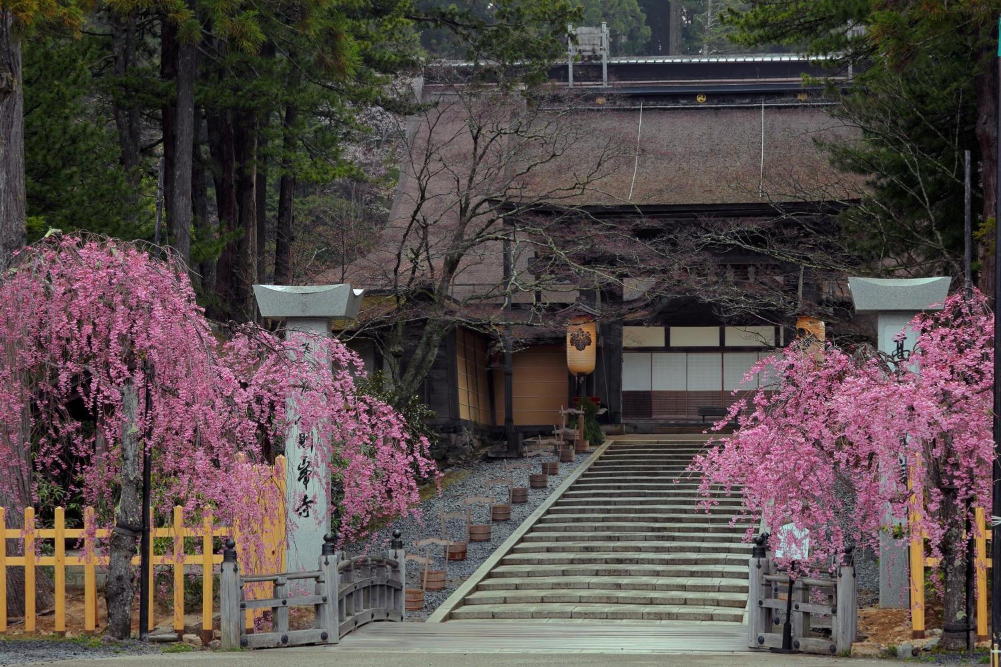 Koyasan Guesthouse Kokuu Екстер'єр фото
